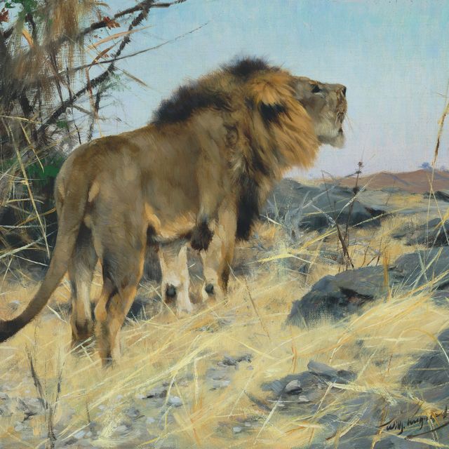 Friedrich — Рычащий Лев