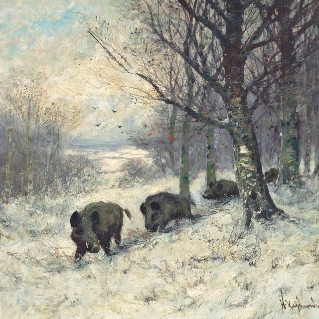 Friedrich — Кабаны на опушке леса