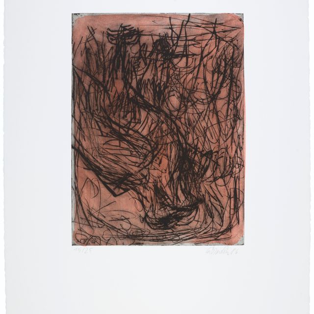 Georg Baselitz — В Адлере, с 8-го Радирунгена