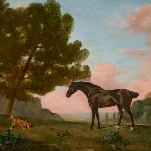 George Stubbs — Темно-гнедая лошадь, смотрящая налево, и золотистый спаниель, обнюхивающий землю