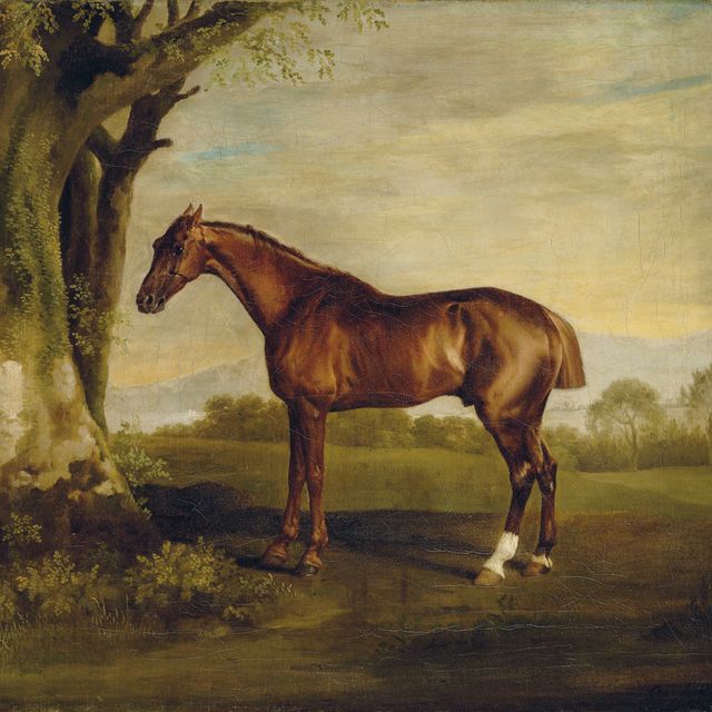 George Stubbs — Антинойс, гнедая скаковая лошадь, на фоне пейзажа