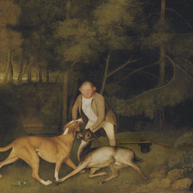 George Stubbs — Томас Фримен, егерь лорда Кларендона, с собакой и подстреленной самкой на фоне лесистого речного пейзажа, рядом с ним ружье и шляпа