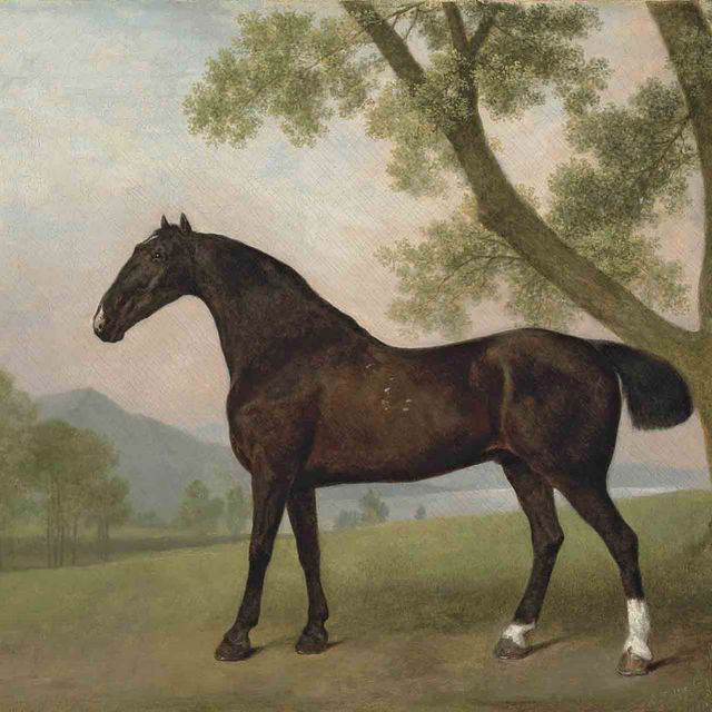George Stubbs — Темно-гнедой охотник рядом с деревом на фоне обширного пейзажа