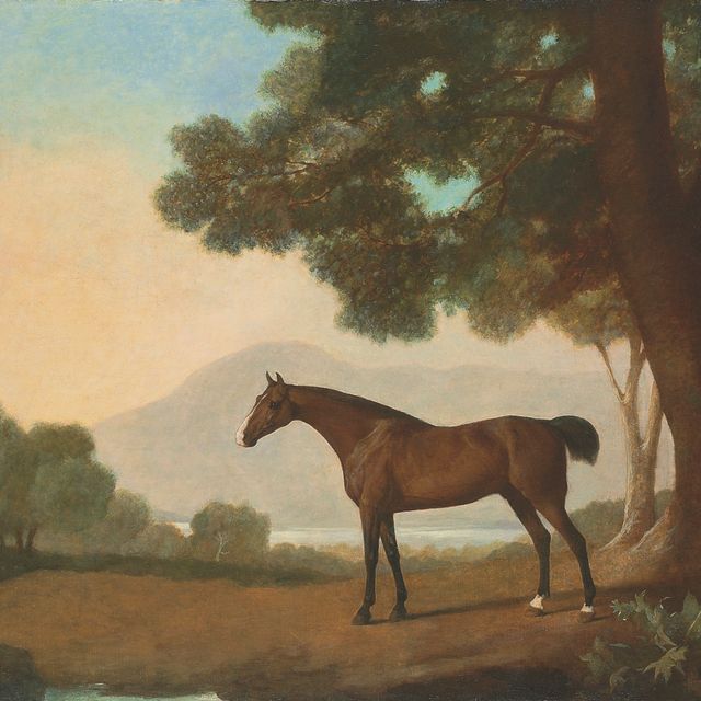 George Stubbs — Гнедая скаковая лошадь лорда Клермонта Джонни, окруженная лесистым ландшафтом, с озером и холмами за ним