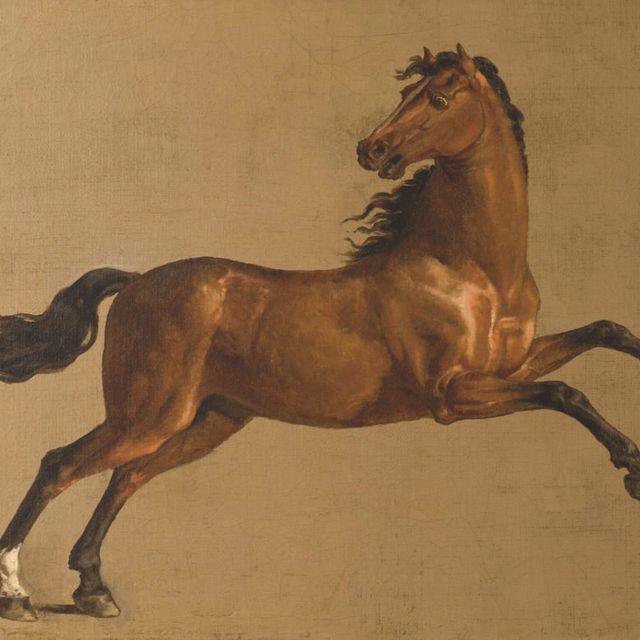 George Stubbs — Ты - эталон.