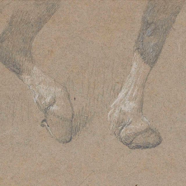 George Stubbs — Изучение ног тягловой лошади, тянущей борону, управляемую сельскохозяйственным работником
