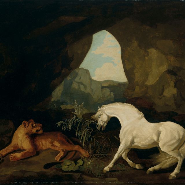 George Stubbs — Львица и конь в пещере