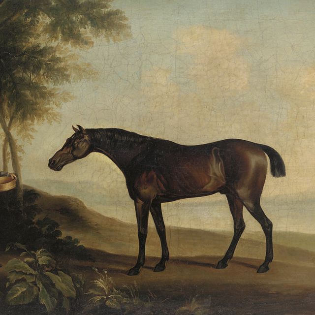 George Stubbs — "Шарк" с мастер-прайсом