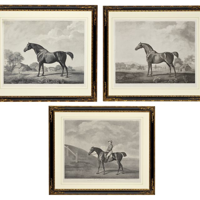 George Stubbs — Тыква, шиповник и Сладкий Вильям
