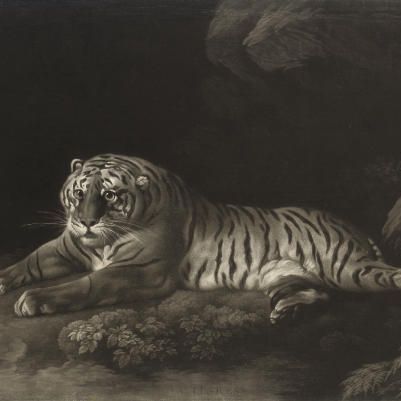George Stubbs — Тигрица