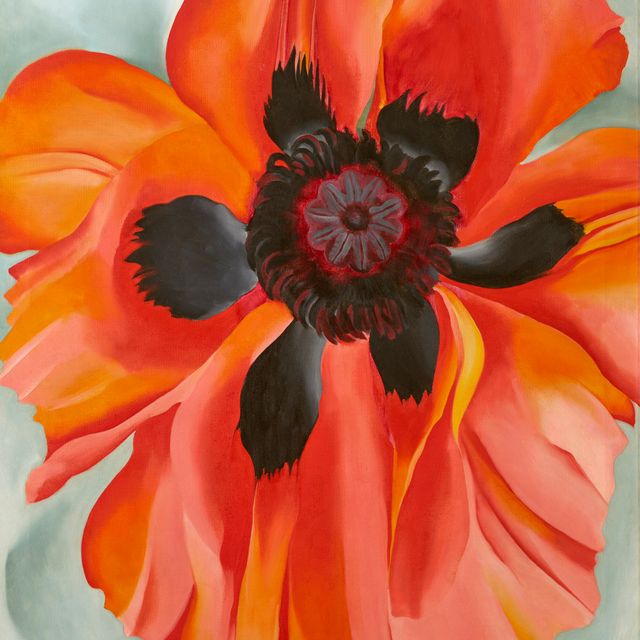 Georgia O’Keeffe — Красный мак