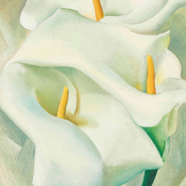 Georgia O’Keeffe — Каллы