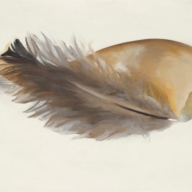 Georgia O’Keeffe — Рог и перо