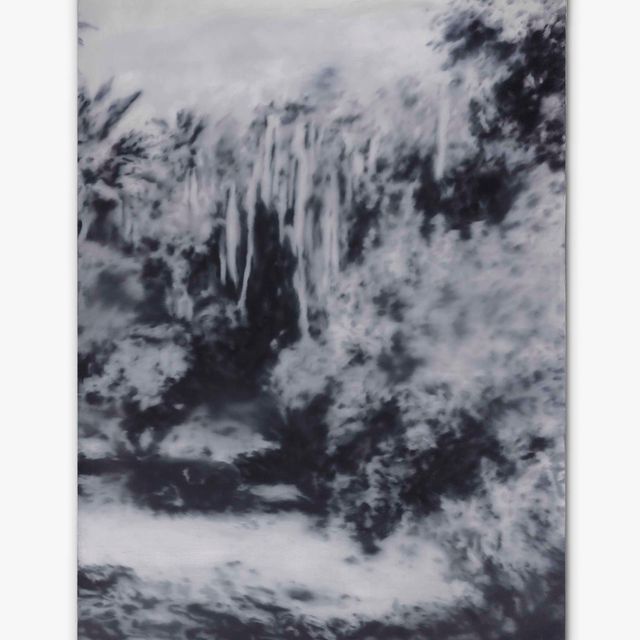 Gerhard Richter — Вальдштюк (Чили) (Лесной массив (Чили))