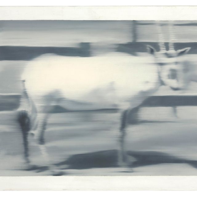Gerhard Richter — Себелантилопа