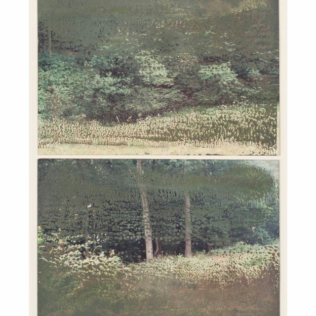Gerhard Richter — 30.5.92