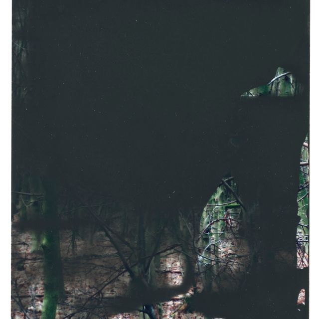 Gerhard Richter — 27.1.08 (Граувальд)
