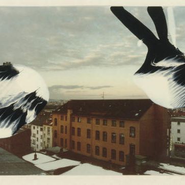 Gerhard Richter — Кассель, из документа IX (B. 78)