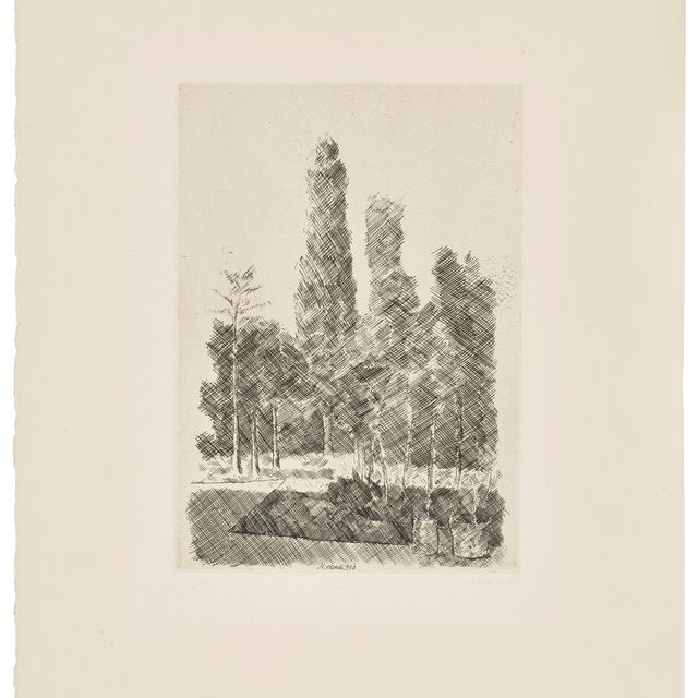 Giorgio Morandi — Я, Пиоппи