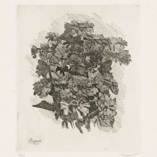 Giorgio Morandi — Группа Цинни