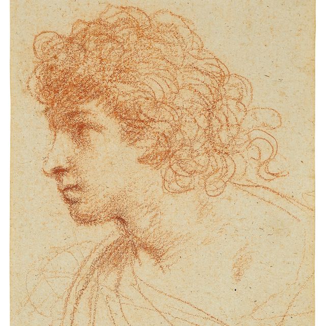 Giovanni Francesco Barbieri — Голова мальчика, повернутая в профиль слева