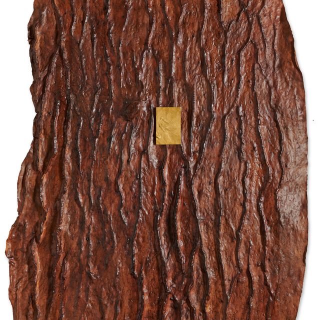 Giuseppe Penone — Споглия д'оро в пелле-ди-седро