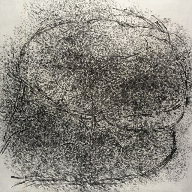 Giuseppe Penone — Давление
