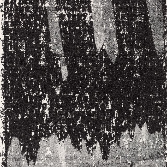 Glenn Ligon — Зеркало II