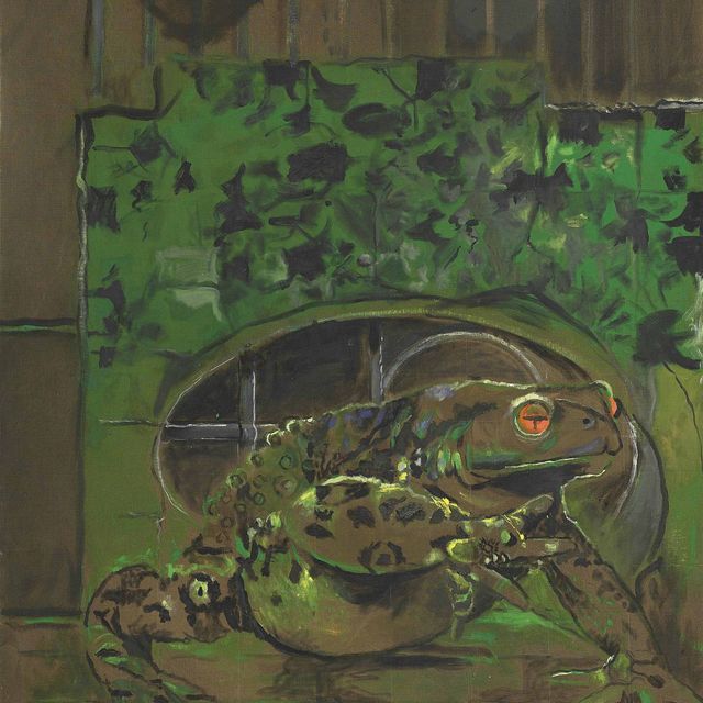 Graham Sutherland — Жаба II