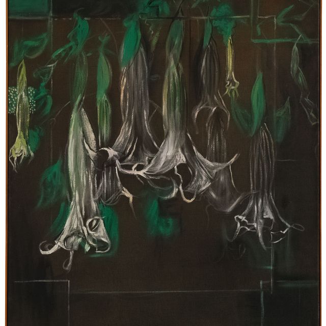 Graham Sutherland — Цветы дурмана
