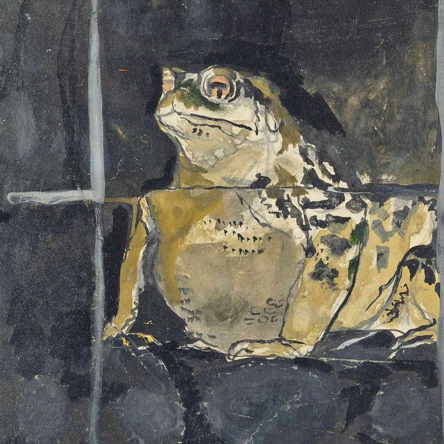 Graham Sutherland — Жаба (исследование)