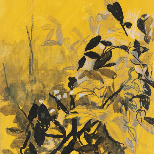 Graham Sutherland — (i) Изучение "Листьев"; (ii) Изучение "Интерьера"