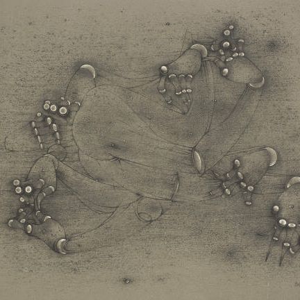 Hans Bellmer — Основные блюда (День 29)