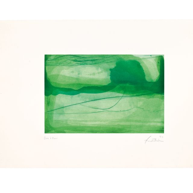 Helen Frankenthaler — Весенняя вуаль