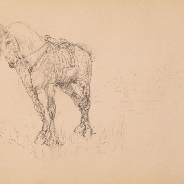Henri de Toulouse-Lautrec — Шевалье