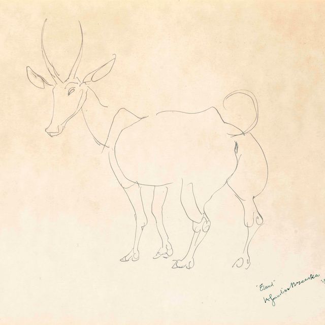 Henri Gaudier-Brzeska — Канны Каннской
