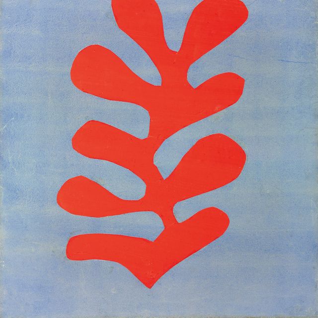 Henri Matisse — Красные водоросли с нежно-голубым оттенком.