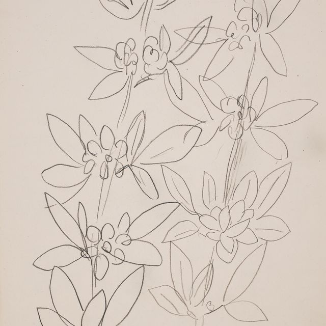 Henri Matisse — Искусственный жасмин (спереди); китайская маска (сзади)