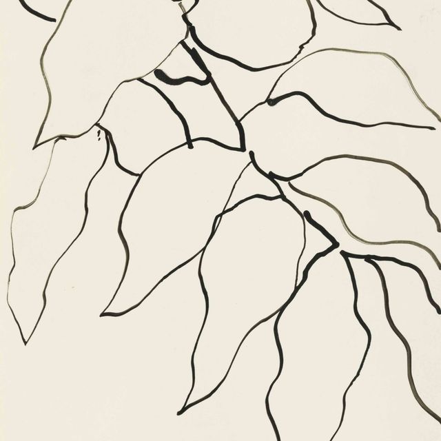 Henri Matisse — Фельетон