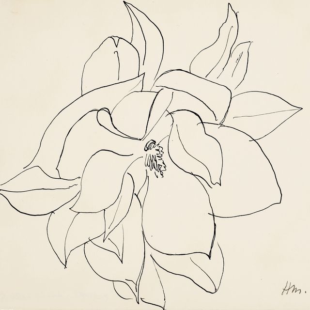 Henri Matisse — Магнолия