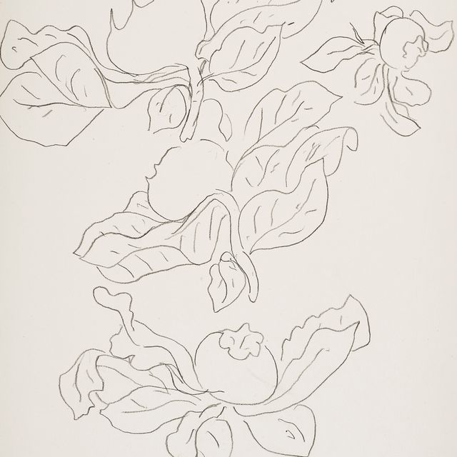 Henri Matisse — Этюд о фруктах и изящных фельетонах