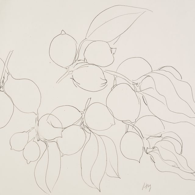 Henri Matisse — Этюд с цитрусами
