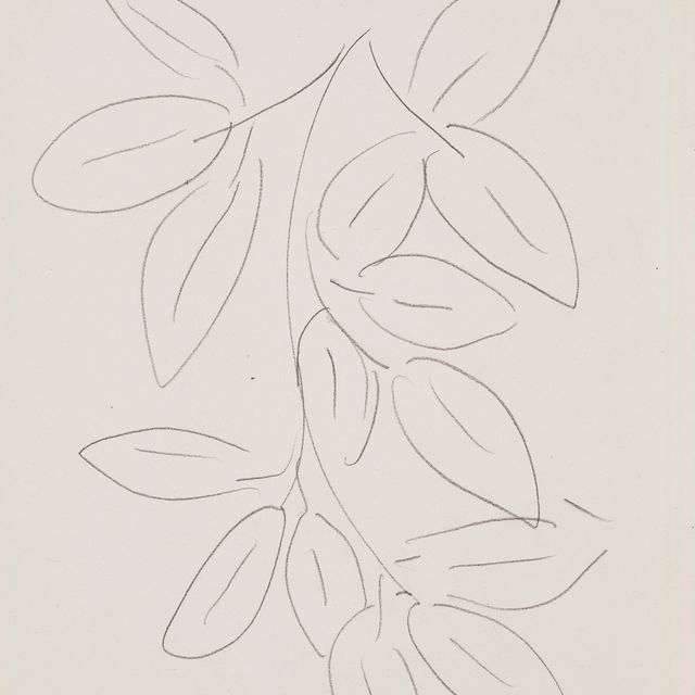Henri Matisse — Фельетоны