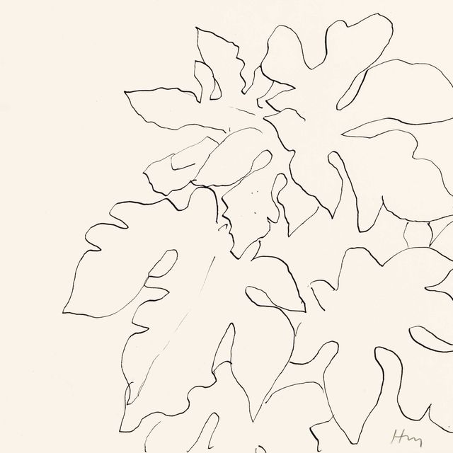 Henri Matisse — Фельетоны