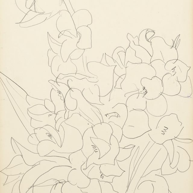 Henri Matisse — Цветы и фельетоны