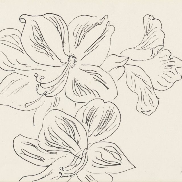 Henri Matisse — Цветы Амариллиса