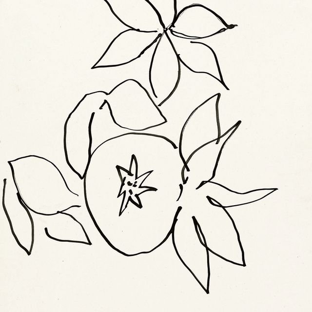 Henri Matisse — Граната