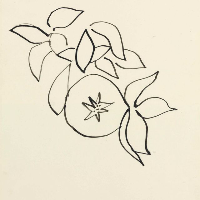 Henri Matisse — Фельетон
