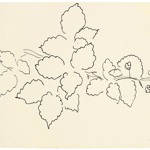 Henri Matisse — Фели и лилии