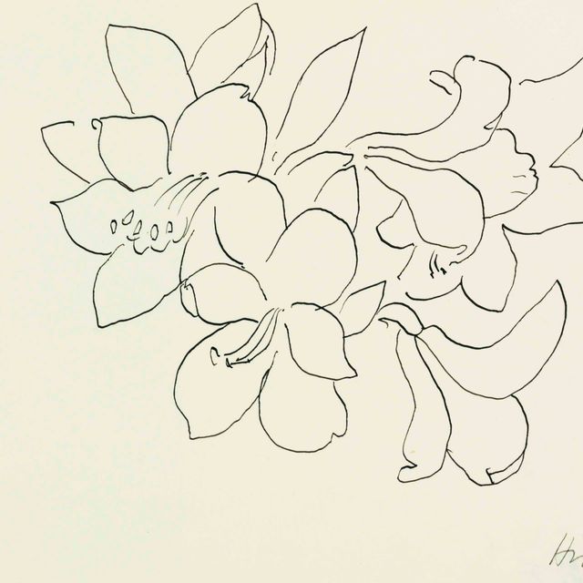 Henri Matisse — Цветы и фельетоны